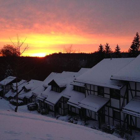 Zum Hirsch Villa Winterberg Bagian luar foto